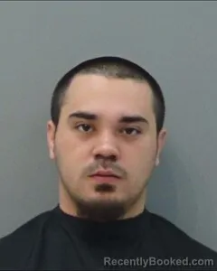 Mugshot of LEE MEDINA