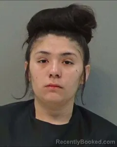 Mugshot of BRIANNA BERMEA-DELAPAZ