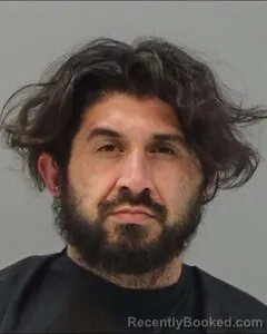 Mugshot of DAVID THOMPSON