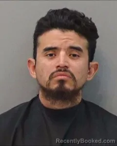 Mugshot of DAVID RODRIGUEZ