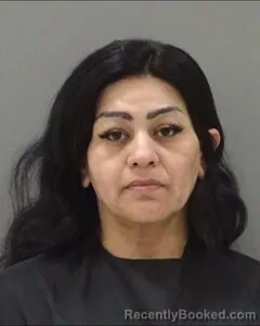 Mugshot of BRANDY VILLARREAL