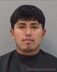 Mugshot of ELYEL PEREZ-LISCANO