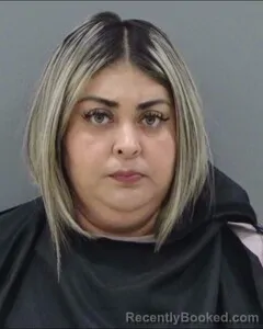 Mugshot of ALINA ZAPATA-GUERRERO