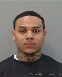 Mugshot of BRANDON LEWIS