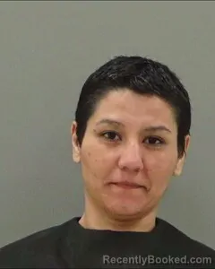 Mugshot of APRIL SANCHEZ