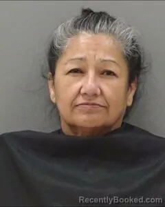 Mugshot of VALENTINA MARTINEZ