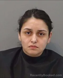 Mugshot of NORMA ROJAS