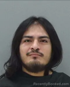 Mugshot of SALVADOR BANON