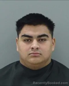 Mugshot of LUIS LUNA-QUEVEDO