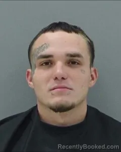 Mugshot of MICHAEL LEECH