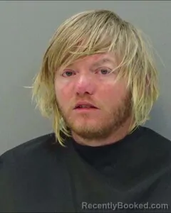 Mugshot of ADAM RIMES