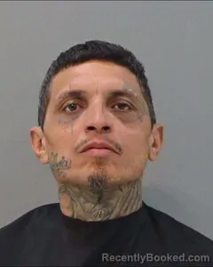 Mugshot of ROLANDO GONZALEZ