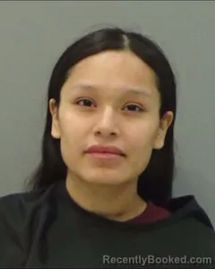 Mugshot of DAISY VALERO ESTRADA