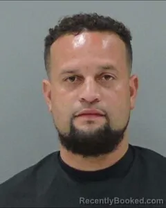 Mugshot of SHANNON FAY