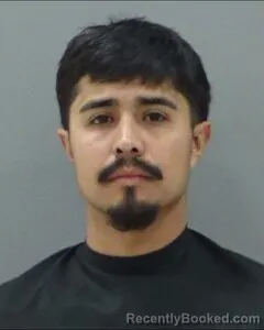 Mugshot of BRANDEN MERMELLA