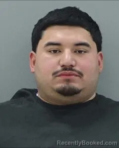 Mugshot of ANTHONY SILVA