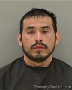 Mugshot of GASTON DEHOYOS