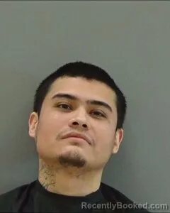 Mugshot of JESUS ALVAREZ