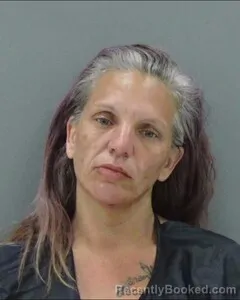 Mugshot of BRANDI LYVERS booked in Tom Green County, Texas on March 20, 2026