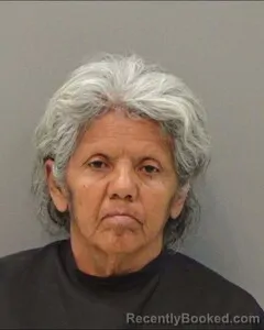 Mugshot of MARIA VALDEZ booked in Tom Green County, Texas on March 31, 2026