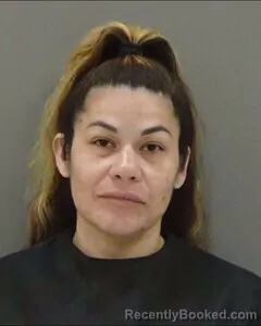 Mugshot of ANNETTE ELLINGBURG booked in Tom Green County, Texas on May 11, 2026