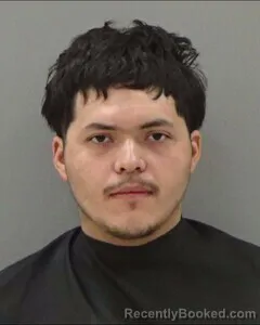 Mugshot of CAMREN RENE CARBAJAL booked in Tom Green County, Texas on May 16, 2026