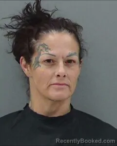 Mugshot of AMANDA SEARS booked in Tom Green County, Texas on July 28, 2026