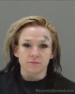 Mugshot of ADRIANN MOHLER booked in Tom Green County, Texas on July 29, 2026
