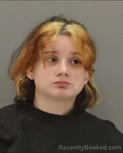 Mugshot of HAILEY THURMAN booked in Tom Green County, Texas on August 2, 2026