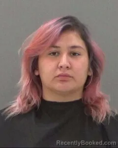 Mugshot of Brianna Alaniz booked in Tom Green County, Texas on August 14, 2026