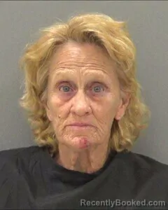 Mugshot of Nollie Nowlain booked in Tom Green County, Texas on August 16, 2026