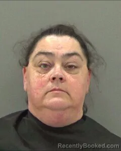 Mugshot of Ann Geoffrion booked in Tom Green County, Texas on August 17, 2026