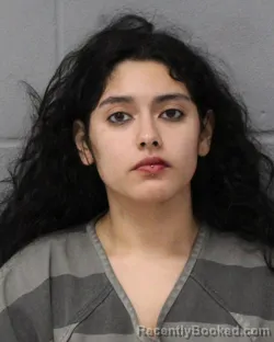 Booking photo from Travis County, Texas