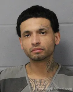 Mugshot of LUIS GARCIA