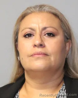 Mugshot of DIANE HERNANDEZ