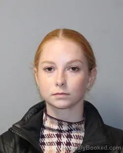 Mugshot of AUDREY PORTER