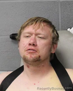 Mugshot of DEVIN WHITE