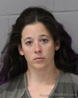 Mugshot of HEATHER DONOVAN