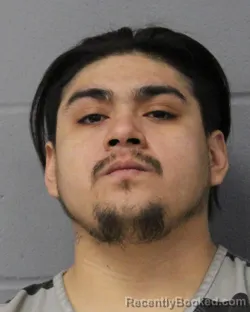 Mugshot of MARTIN TORRES