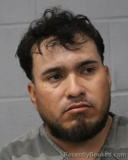 Mugshot of JOSE RODRIGUEZ