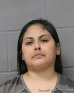 Mugshot of RENEE CANTU