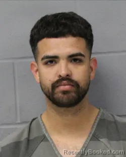 Mugshot of LEE GONZALEZ