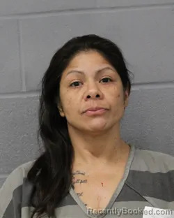 Mugshot of MARSHA CASTILLO-WILLIAMS