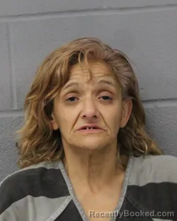 Mugshot of DIANA WACHTEL