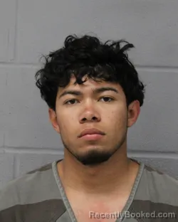 Mugshot of MAYNOR PALMA
