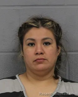 Mugshot of SANDABEL VASQUEZ booked in Travis County, Texas on March 24, 2026