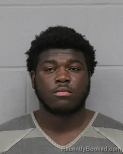 Mugshot of KRISTIN OGLESBY booked in Travis County, Texas on March 24, 2026