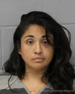 Mugshot of CRYSTAL SILLERO booked in Travis County, Texas on March 26, 2026