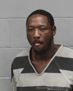 Mugshot of ELIJAH WHITEFIELD booked in Travis County, Texas on March 28, 2026