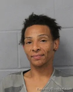 Mugshot of NICOLE HULL booked in Travis County, Texas on March 31, 2026